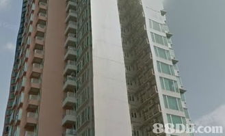 香港楼盘搜寻全攻略 从公屋到豪宅的一站式置业指南