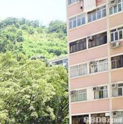 香港置业指南 探寻心仪安所，优化买卖全流程