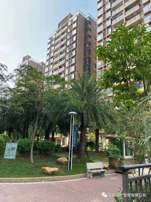 松湖佳境 小产权房的景观升级篇——“风景区里的家”生活实记